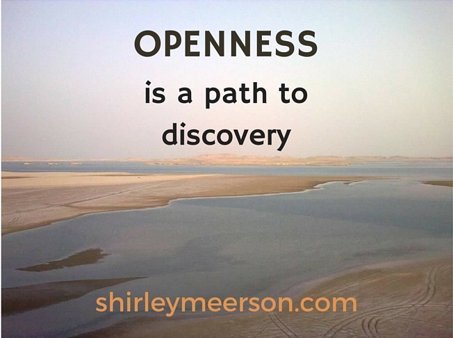 Shirley Meerson, Ageless Wellness Lifestyle Coach