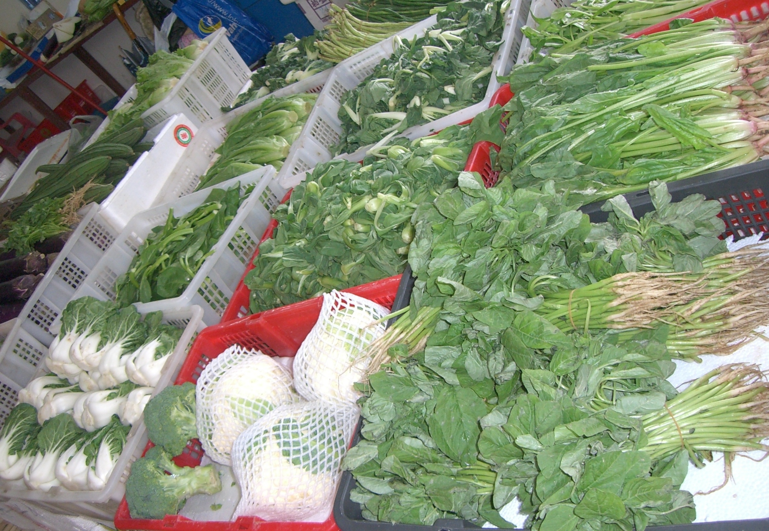 Market in Cheng Chau, Hong Kong | Shirley Meerson eating greens