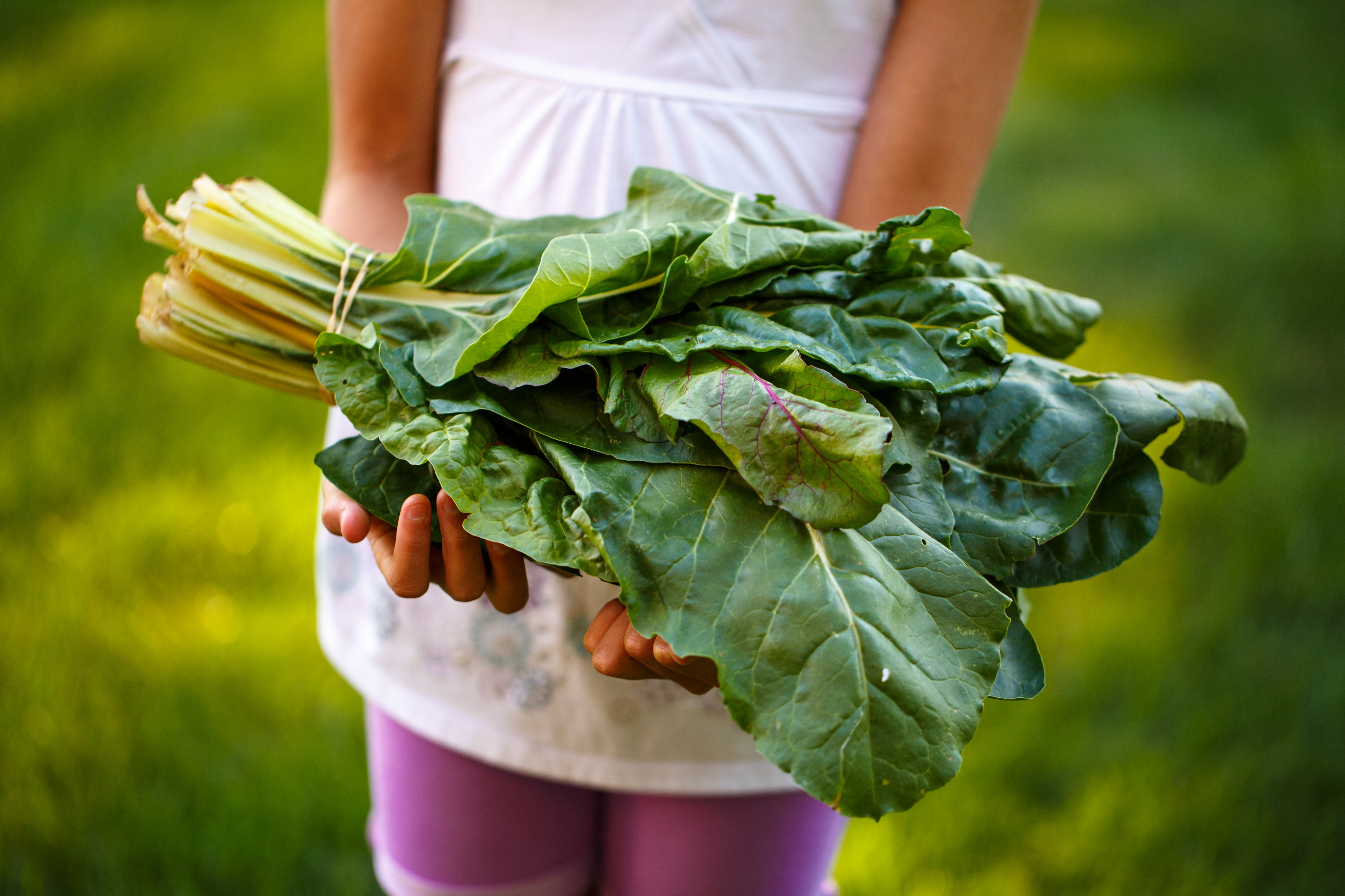 My love affair with eating greens | Shirley Meerson, Health Coach